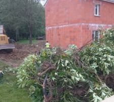 Avons eu l'accord du terrassier pour nous d&eacute;barrasser des buissons se trouvant un bout de notre futur jardin.