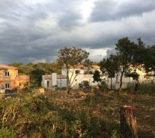Après un premier debroussaillage