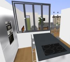 Plan alternatif cuisine. Un jour peut-être...
