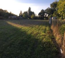 Le terrain tout en longueur (environ 25m x 108m)