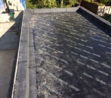 Ils sont en train de terminer les &eacute;tanch&eacute;it&eacute;s: toit du garage, terrasse et bas de murs