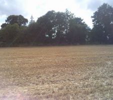 Vue du bout de l'all&eacute;e, 
tout ce qu'on voit fait parti de notre terrain