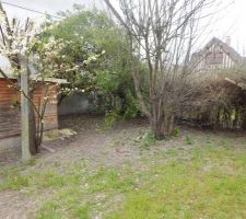 Tout doit disparaitre, arbres, cabanes, box!
