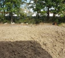 Défonçage du terrain a la minipelle sur 40cm de profondeur environs