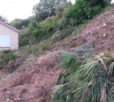 Gros nettoyage du terrain