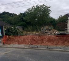 Après dessouchage des 4 arbres et déracinage de la haie.