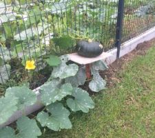 G&eacute;o-trouvetout est pass&eacute; par l&agrave;