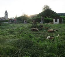 Le terrain apr&egrave;s l'abattage des arbres. Nous ne pouvions pas les laisser.