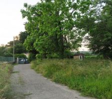 Le terrain &agrave; l'origine, apr&egrave;s son achat et l'abattage des arbres?