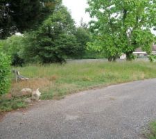 Le terrain &agrave; l'origine, apr&egrave;s son achat et l'abattage des arbres