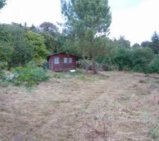 La cabane au fond du jardin......