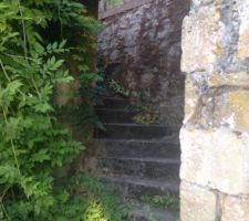 Escalier accès jardin