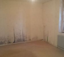 Etat des lieux cave chambre