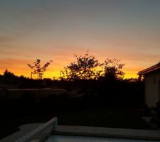 Nouvelle aventure , l abri de jardin
