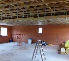 Pose des rails du plafond et de l'isolation en laine de verre isover ibr revêtu kraft de 240 (R : 6 m2.K/w)