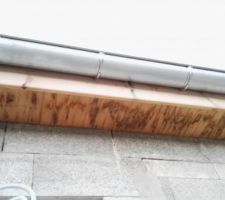 La frisette a été posé 2 mois avant le reste de la toiture ...on se retrouve avec des tâches de moisissures mais c est normal !!!! Pfff je suis vraiment déçu c est a nos frais car soit disant il n y a aucune conséquence soit disant, mais bon franchement faire du neuf pour avoir ça, j'ai vraiment les boules