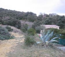 Vue du terrain o&ugrave; la construction va avoir lieu. Pr&eacute;sence importante de rocher d&eacute;tect&eacute; lors de l'&eacute;tude de sol.