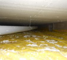 Visite du vide snaitaire