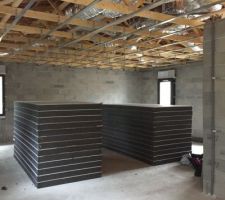 Livraison et début pose plafond