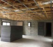 Livraison et début pose plafond