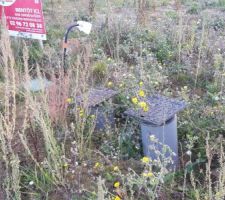 Future entr&eacute;e