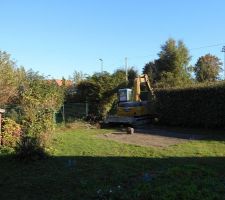 Arrachage de 4m de haie (accès terrain)