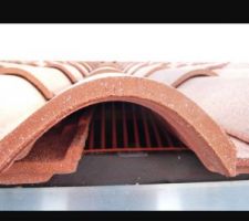 Peigne anti intrusion