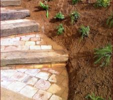 Les marches en vieux pavés, bordure en traversses
début de plantation dans le talus