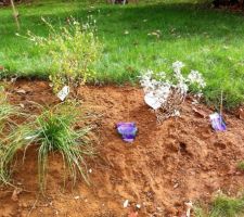 Talus planté de vivaces et d'arbustes résistants au soleil