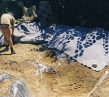 Feutre sur sable avant liner