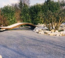 Neige soufflée sur l'eau