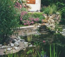 Bassin avec cascade sous abri de jardin