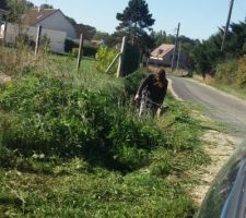 Enfin propri&eacute;taire !!!
D&eacute;broussaillage du terrain