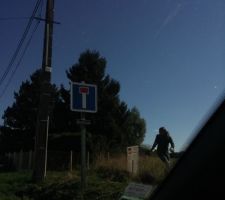 Enfin propri&eacute;taire !!!
D&eacute;broussaillage du terrain