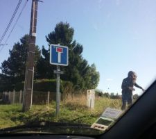 Enfin propri&eacute;taire !!!
D&eacute;broussaillage du terrain