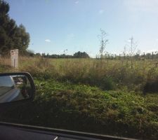 Enfin propri&eacute;taire !!!
D&eacute;broussaillage du terrain