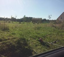 Enfin propri&eacute;taire !!!
D&eacute;broussaillage du terrain