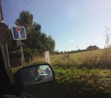 Enfin propri&eacute;taire !!!
D&eacute;broussaillage du terrain