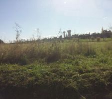 Enfin propri&eacute;taire !!!
D&eacute;broussaillage du terrain