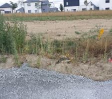 Photo du terrain avant le d&eacute;but de la construction