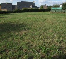 Le terrain