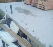 Et voilà les traces du berger allemand sur la dalle!!