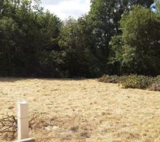 Nettoyage du terrain, debroussaillage et abattage.