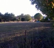 Vu de la partie "bois&eacute;"