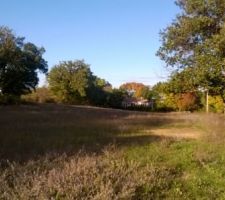 Depuis le bord de route