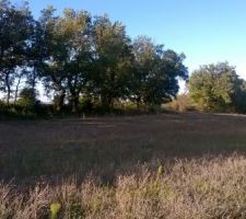 Depuis le bord de route