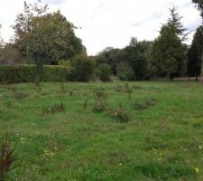 Vue terrain de la rue