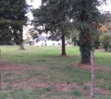 Vue du fond du terrain