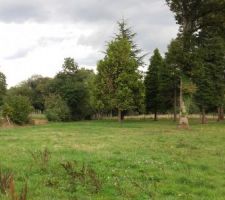 Vue du fond du terrain depuis le d&eacute;but du terrain