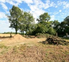 Bois d&eacute;brousaill&eacute;